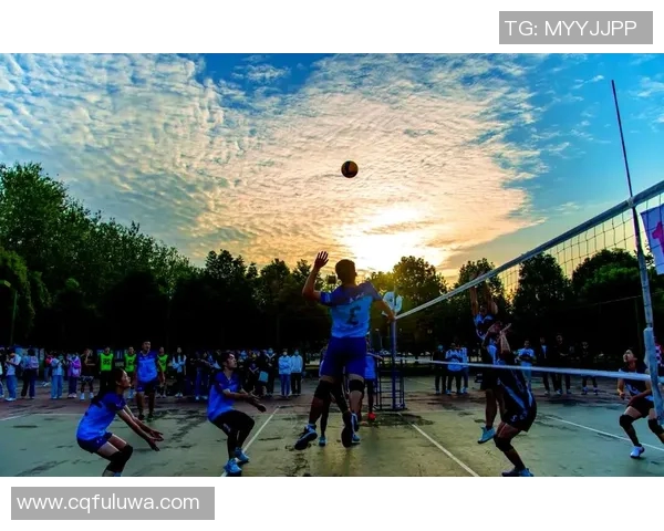 成都排球队的拼搏之路：城市联赛背后的故事与荣耀