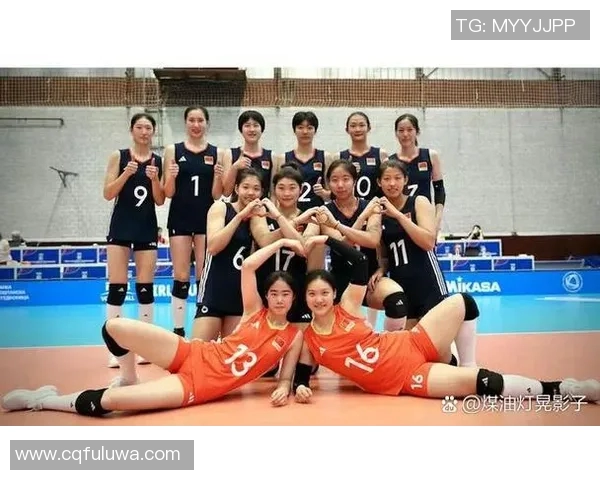 排球力量排行榜:南京排球队位居第1名