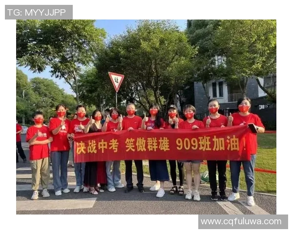 杭州乒乓球队的拼搏历程与欧锦赛荣耀之路